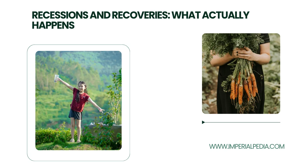 Recessions and Recoveries: What Actually Happens